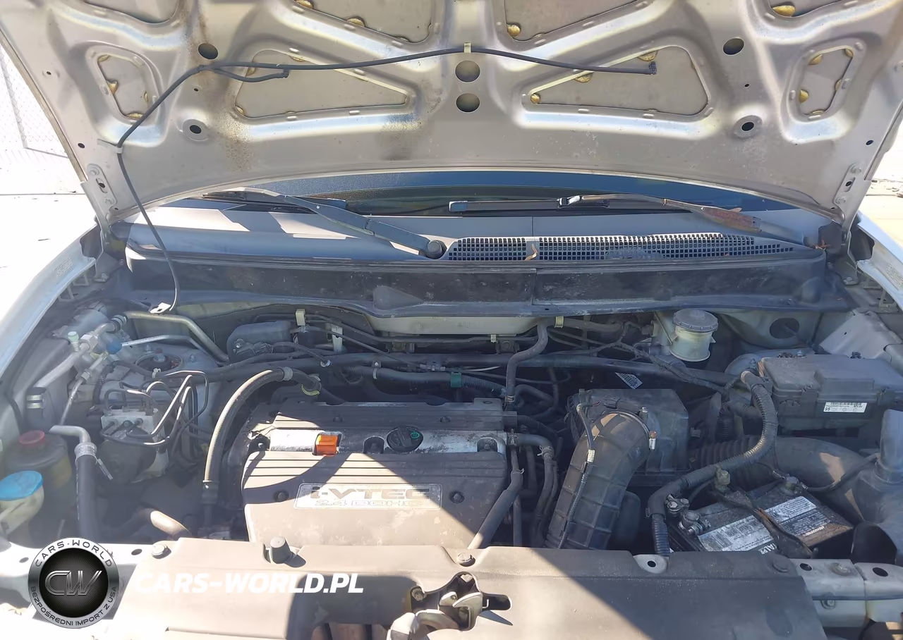 2008 Honda Element Ex VIN:5J6YH28738L013192 - 10