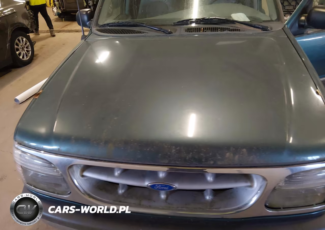 1997 Ford Explorer Eddie Bauer-Limited-Xlt VIN:1FMDU35PXVZC19107 - 10