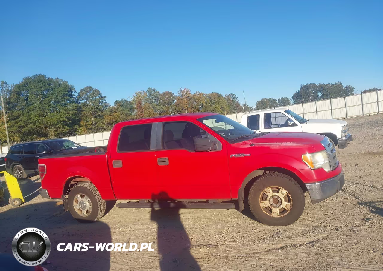 2010 Ford F-150 Fx2 Sport-Xl-Xlt VIN:1FTEW1C87AFB17729 - 13