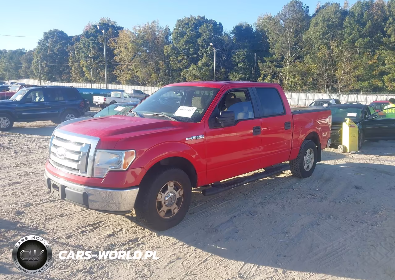 2010 Ford F-150 Fx2 Sport-Xl-Xlt VIN:1FTEW1C87AFB17729 - 2