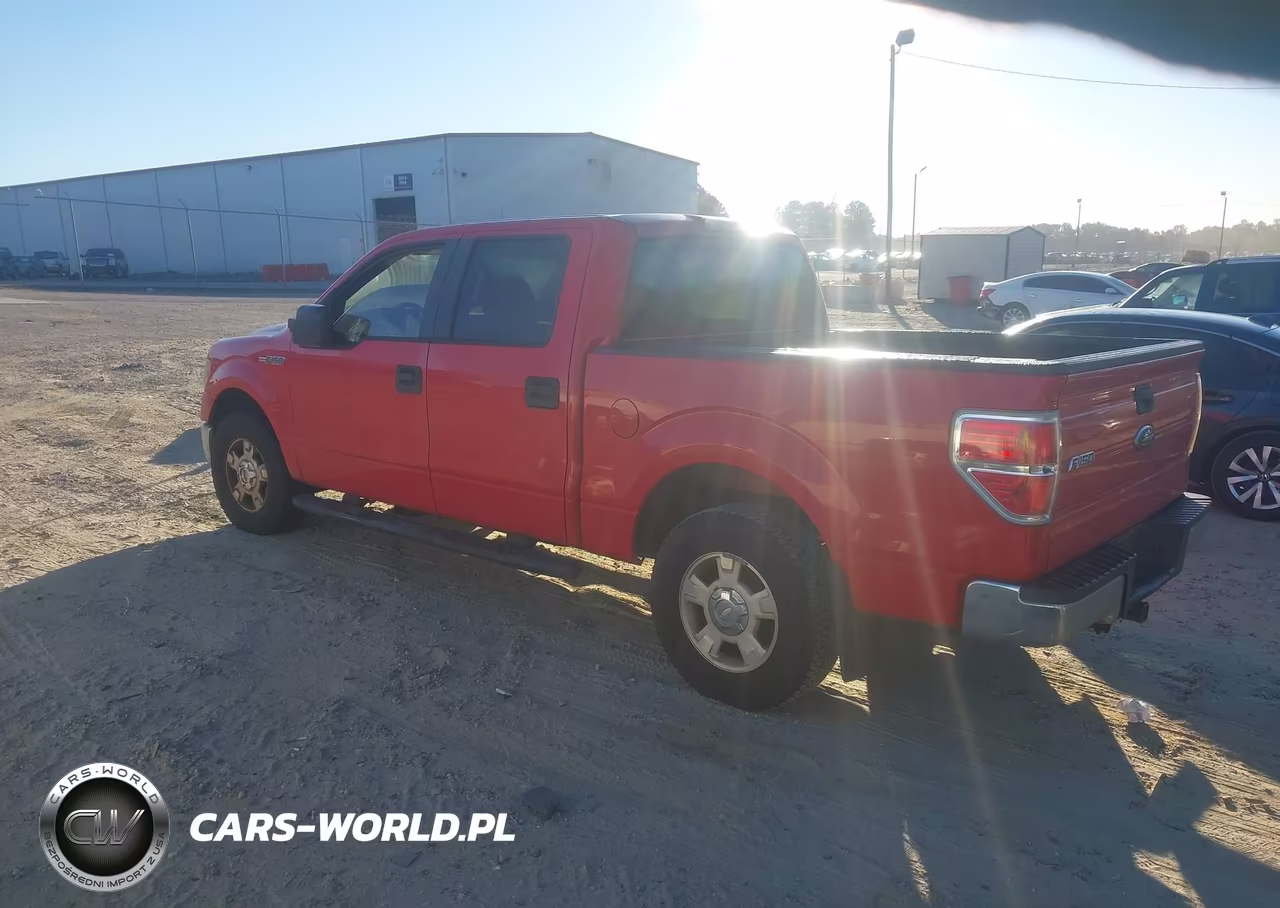 2010 Ford F-150 Fx2 Sport-Xl-Xlt VIN:1FTEW1C87AFB17729 - 3