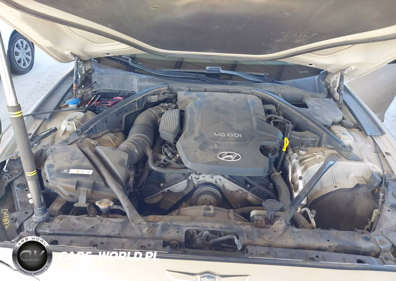 2015 Hyundai Genesis 3.8 VIN:KMHGN4JE0FU063095 - 10
