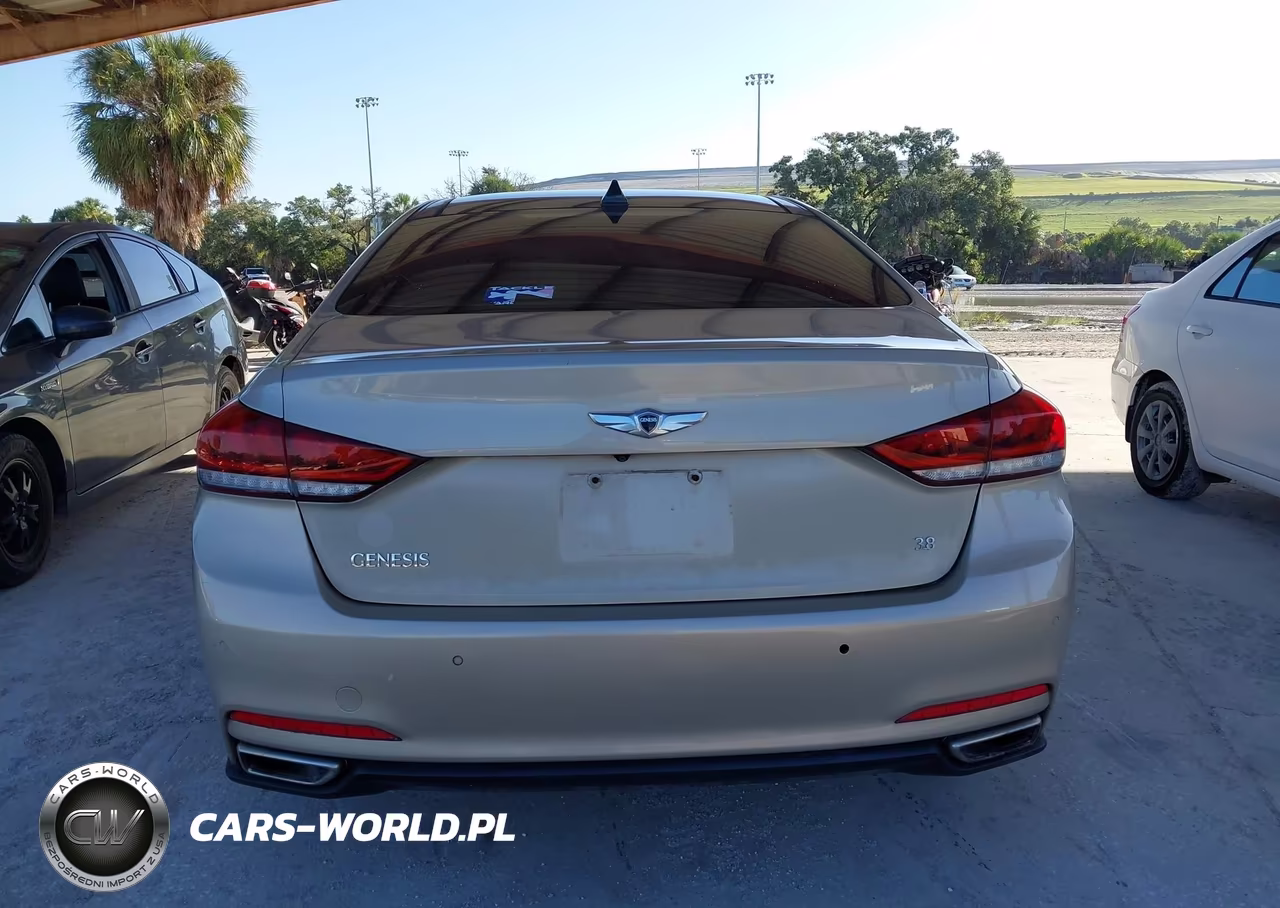 2015 Hyundai Genesis 3.8 VIN:KMHGN4JE0FU063095 - 16