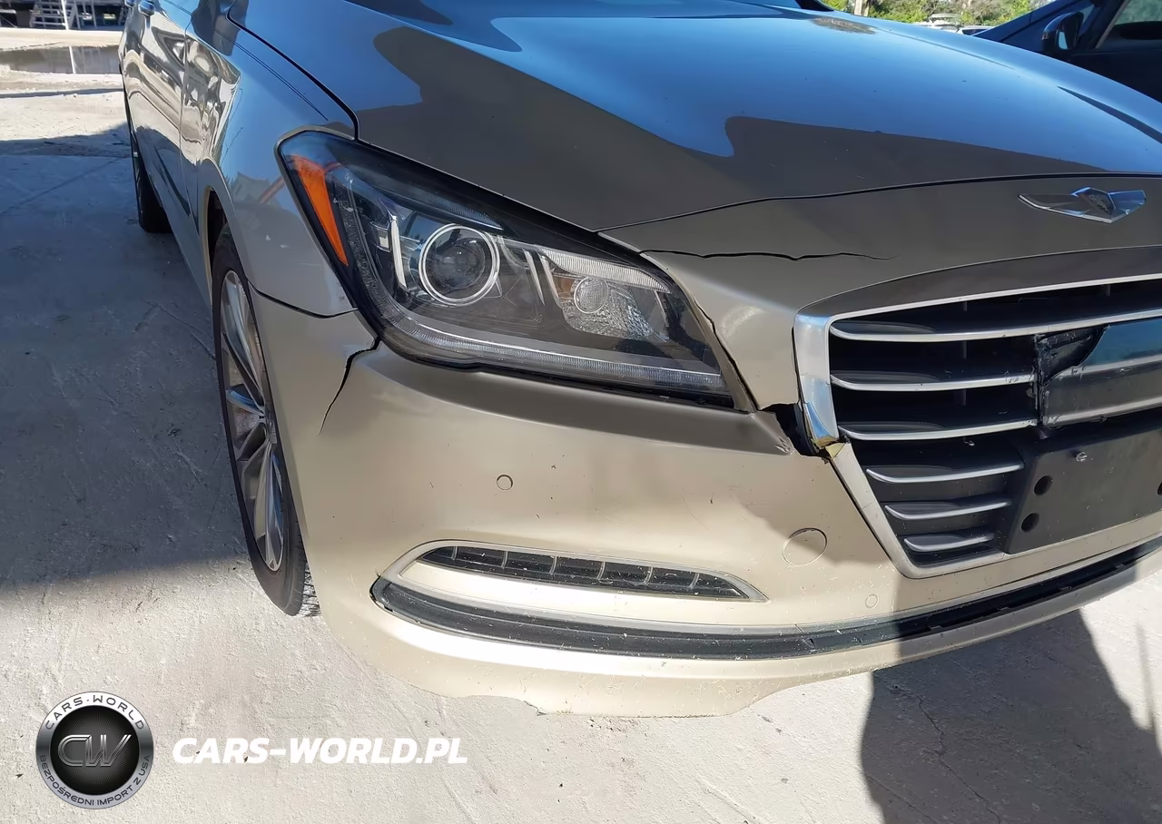 2015 Hyundai Genesis 3.8 VIN:KMHGN4JE0FU063095 - 6