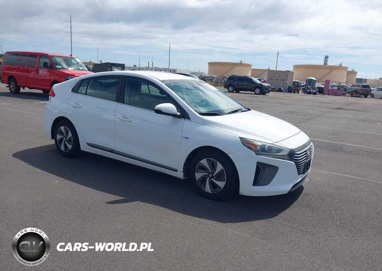 2019 Hyundai Ioniq Hybrid Sel VIN:KMHC75LC3KU106770 - 1