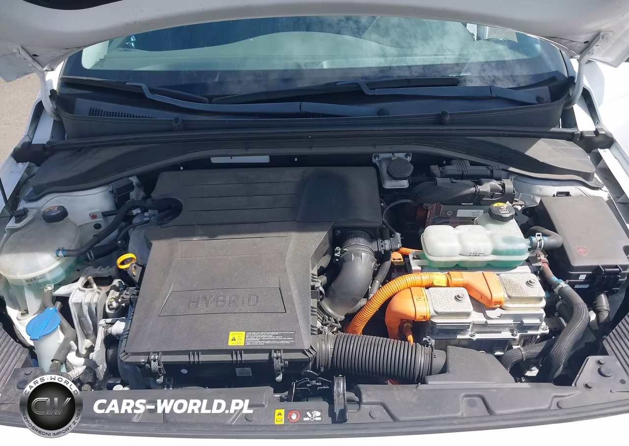 2019 Hyundai Ioniq Hybrid Sel VIN:KMHC75LC3KU106770 - 10