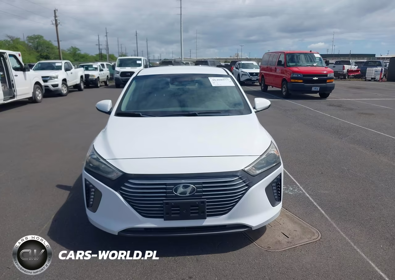2019 Hyundai Ioniq Hybrid Sel VIN:KMHC75LC3KU106770 - 13
