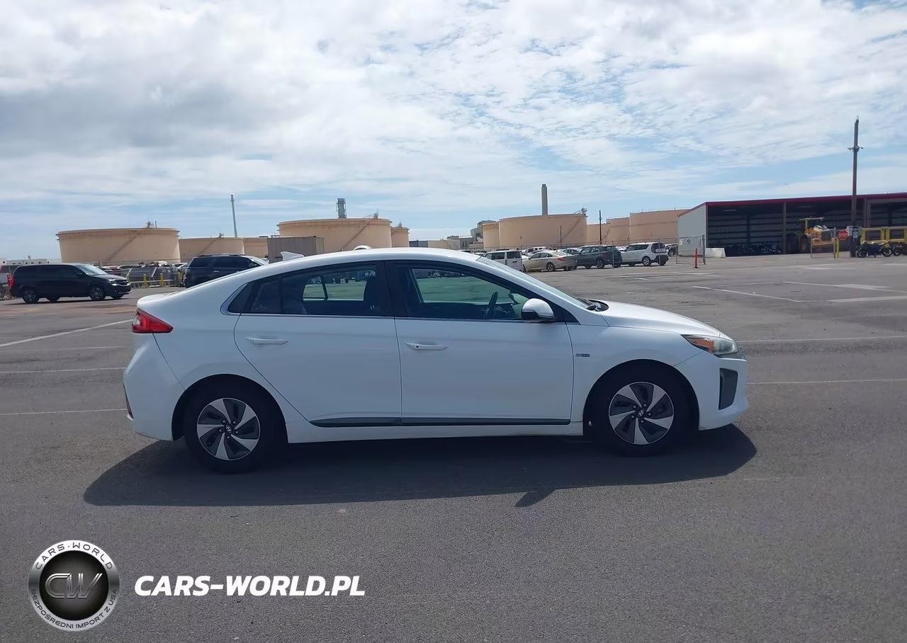 2019 Hyundai Ioniq Hybrid Sel VIN:KMHC75LC3KU106770 - 14