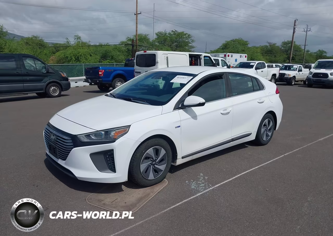2019 Hyundai Ioniq Hybrid Sel VIN:KMHC75LC3KU106770 - 2