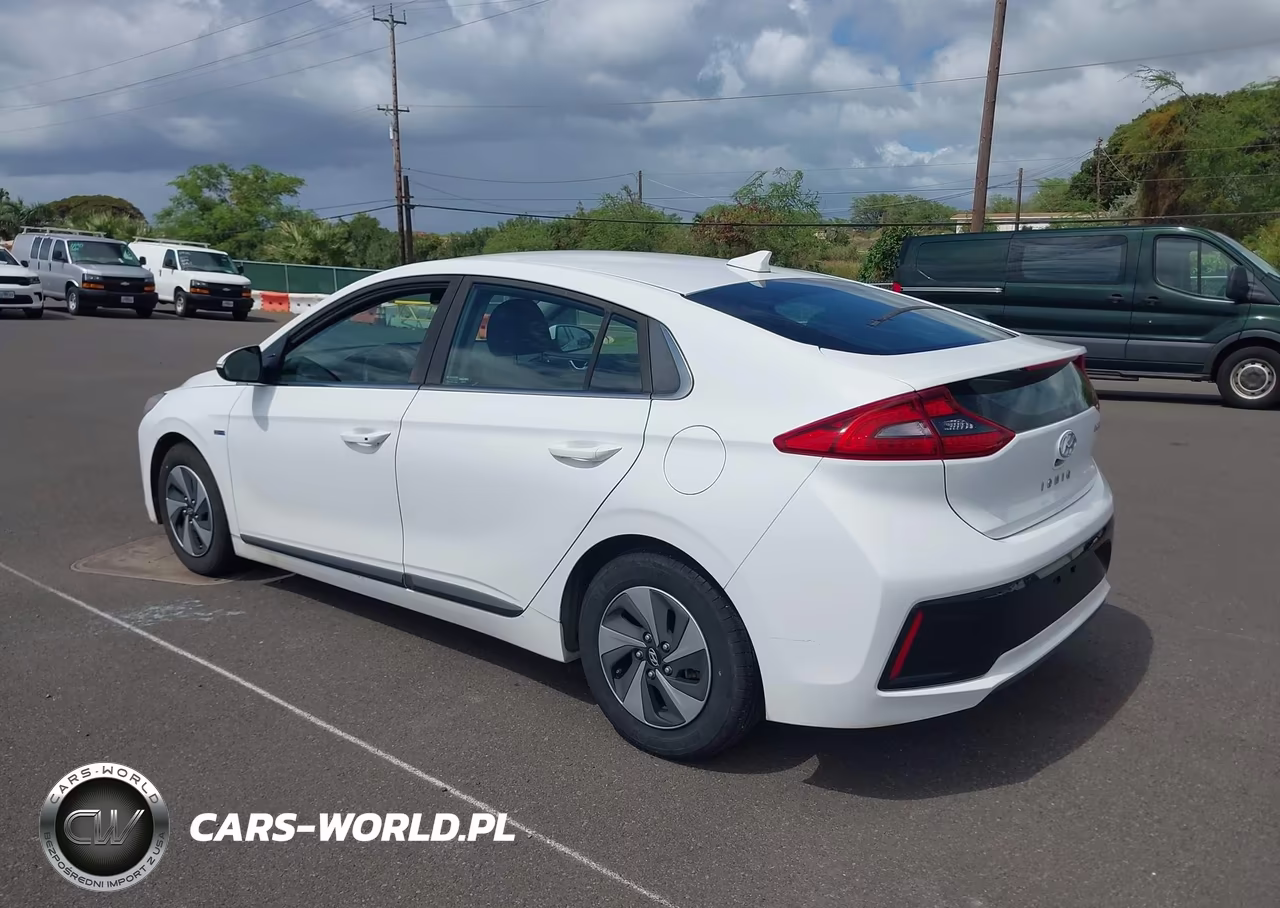 2019 Hyundai Ioniq Hybrid Sel VIN:KMHC75LC3KU106770 - 3