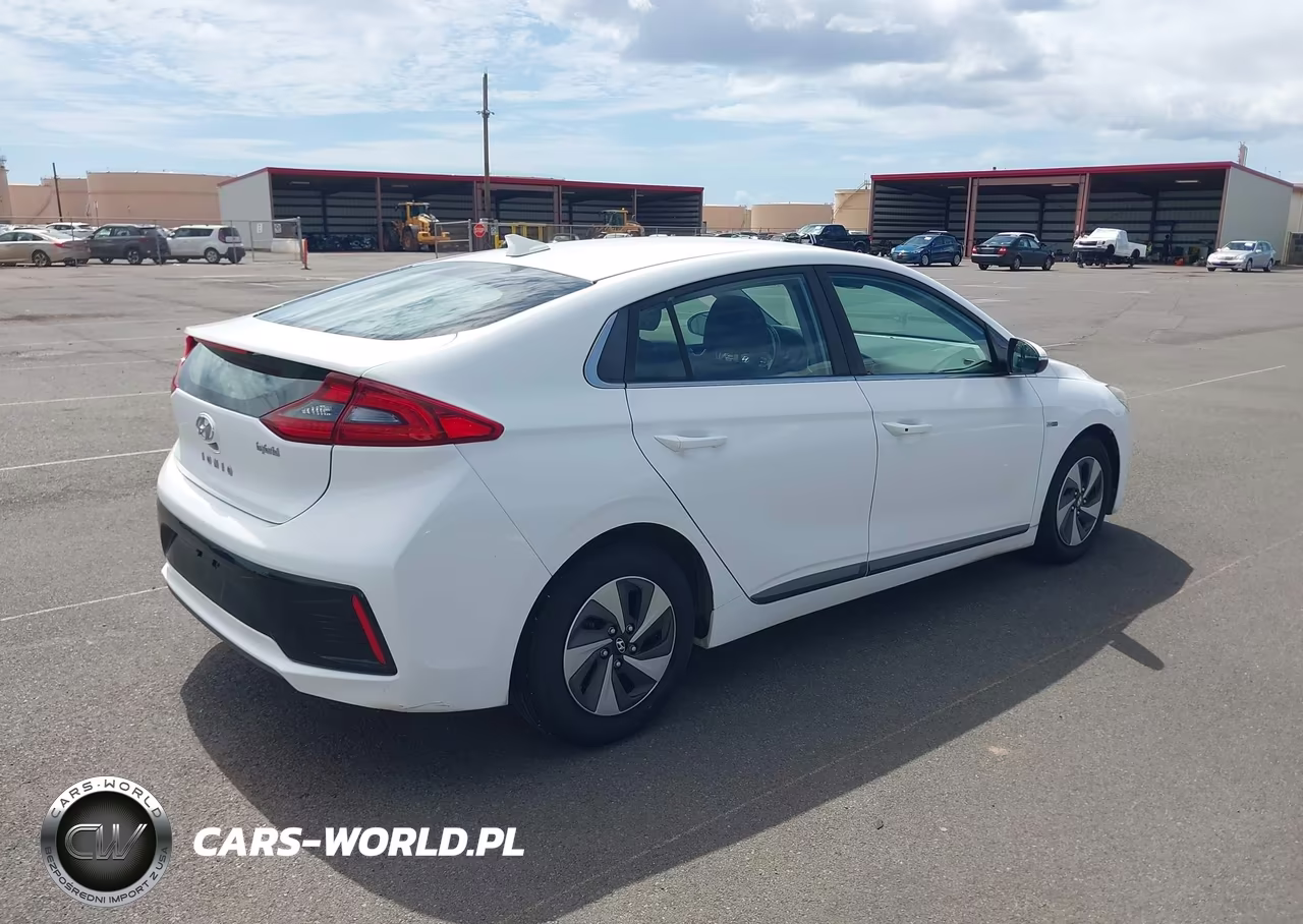 2019 Hyundai Ioniq Hybrid Sel VIN:KMHC75LC3KU106770 - 4