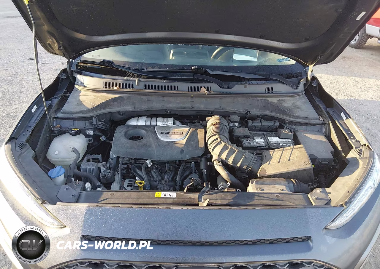 2019 Hyundai Kona Ultimate VIN:KM8K5CA55KU249682 - 10