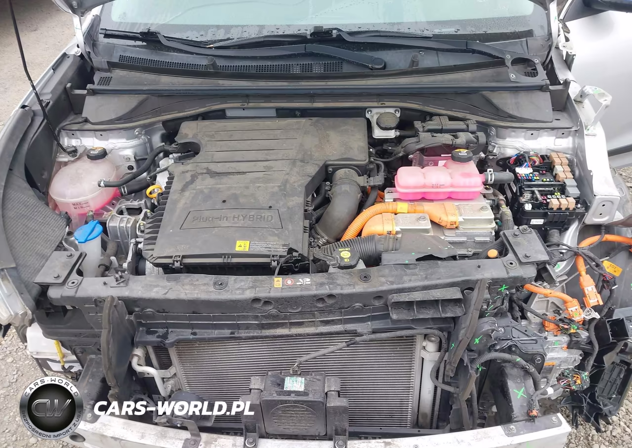 2021 Kia Niro Plug-In Hybrid Lxs VIN:KNDCM3LD4M5463589 - 10
