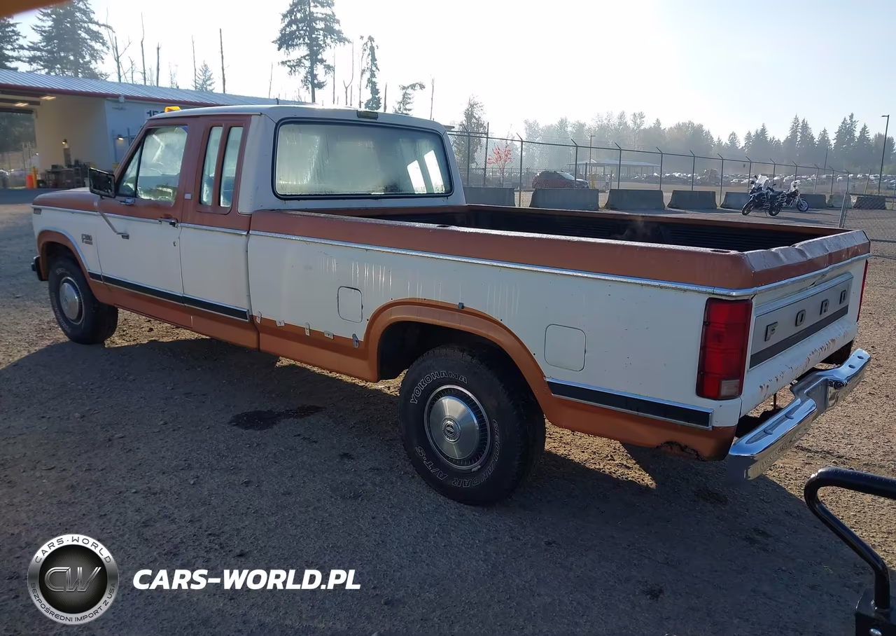 1982 Ford F-150 VIN:1FTDX15F4CKA41420 - 3