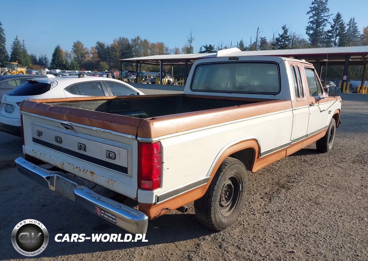 1982 Ford F-150 VIN:1FTDX15F4CKA41420 - 4