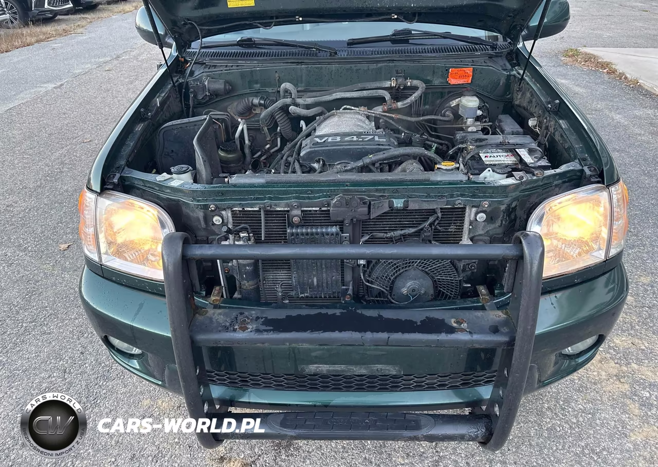 2004 Toyota Sequoia Limited V8 VIN:5TDBT48A34S214486 - 10