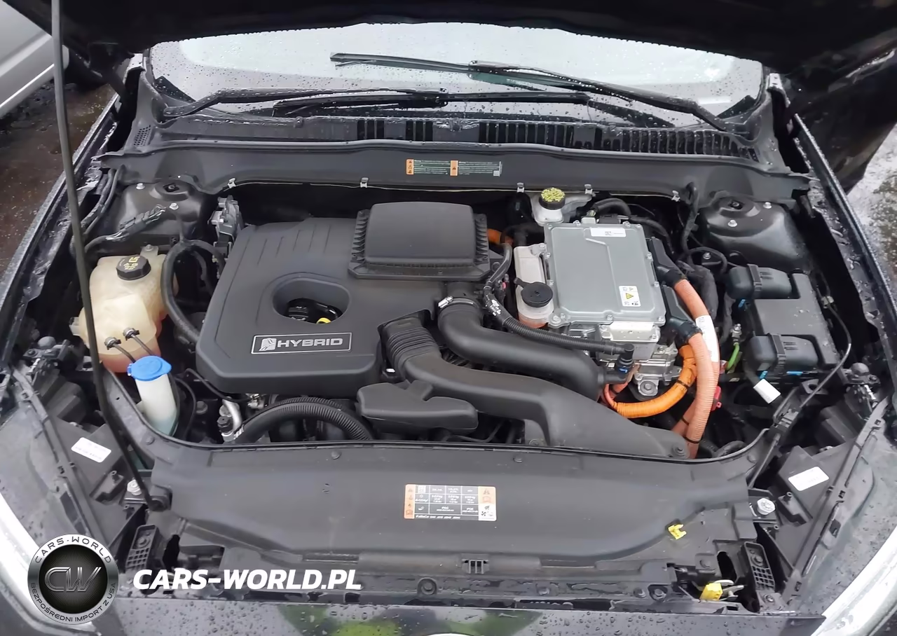 2019 Ford Fusion Hybrid Titanium VIN:3FA6P0RU8KR185676 - 10