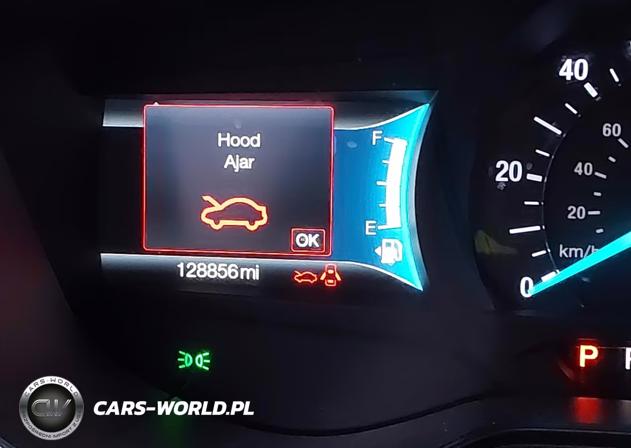 2019 Ford Fusion Hybrid Titanium VIN:3FA6P0RU8KR185676 - 15