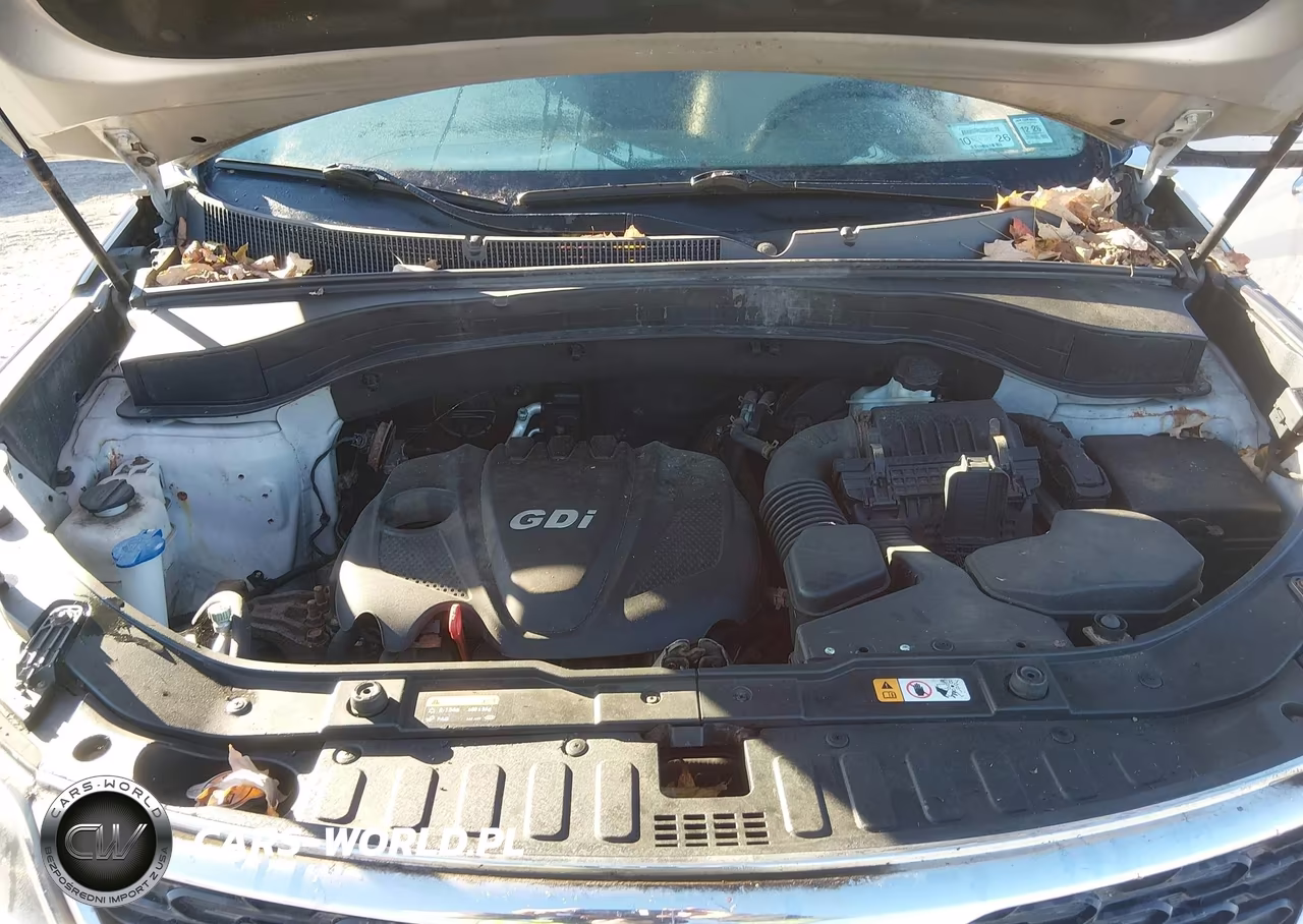 2014 Kia Sorento Lx VIN:5XYKTCA65EG451513 - 10