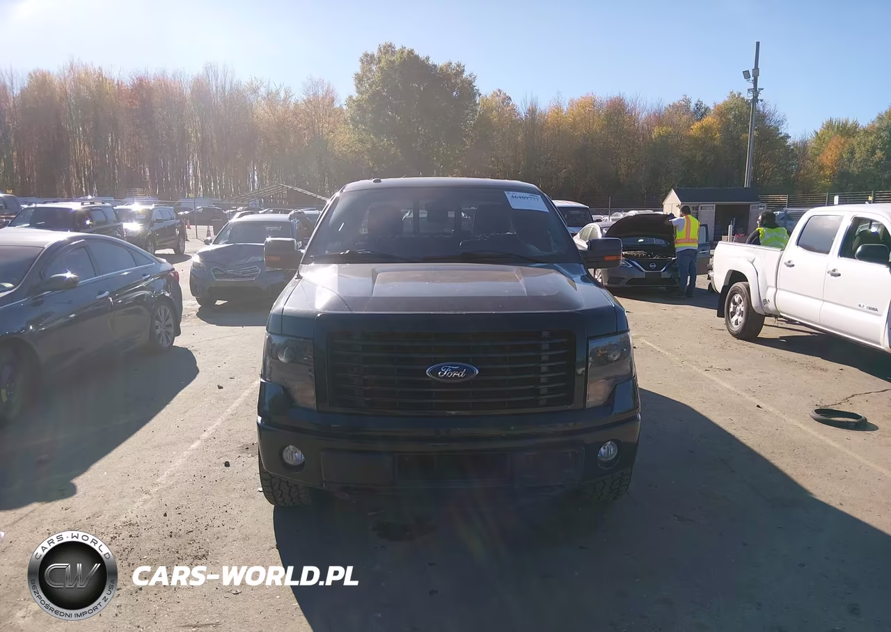 2014 Ford F-150 Fx4 VIN:1FTFX1ET2EFB79998 - 12