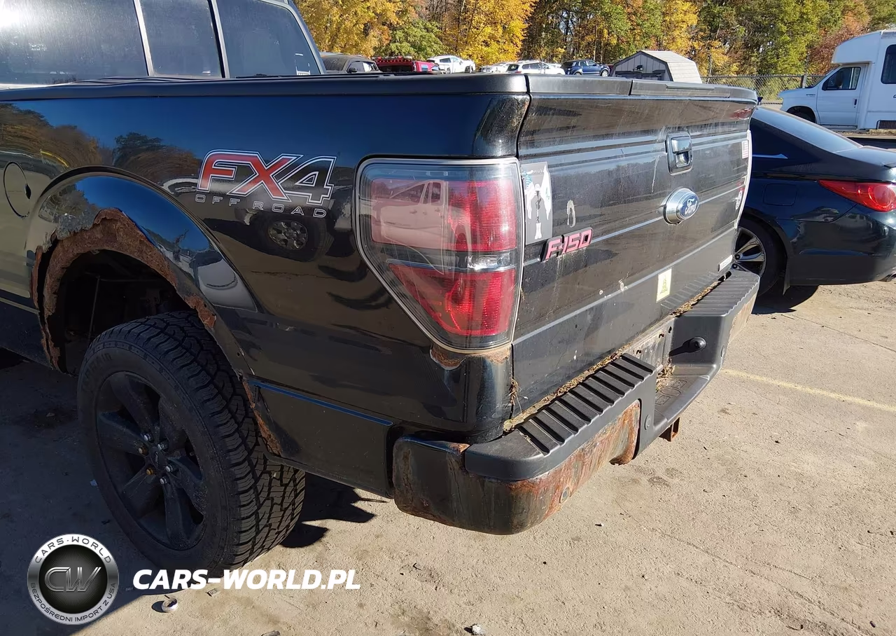 2014 Ford F-150 Fx4 VIN:1FTFX1ET2EFB79998 - 19