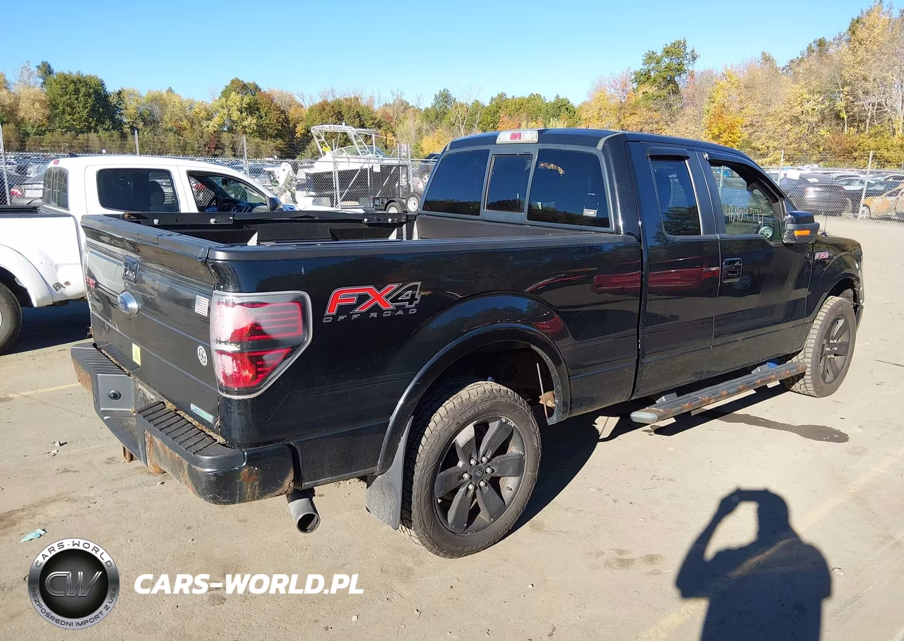 2014 Ford F-150 Fx4 VIN:1FTFX1ET2EFB79998 - 4