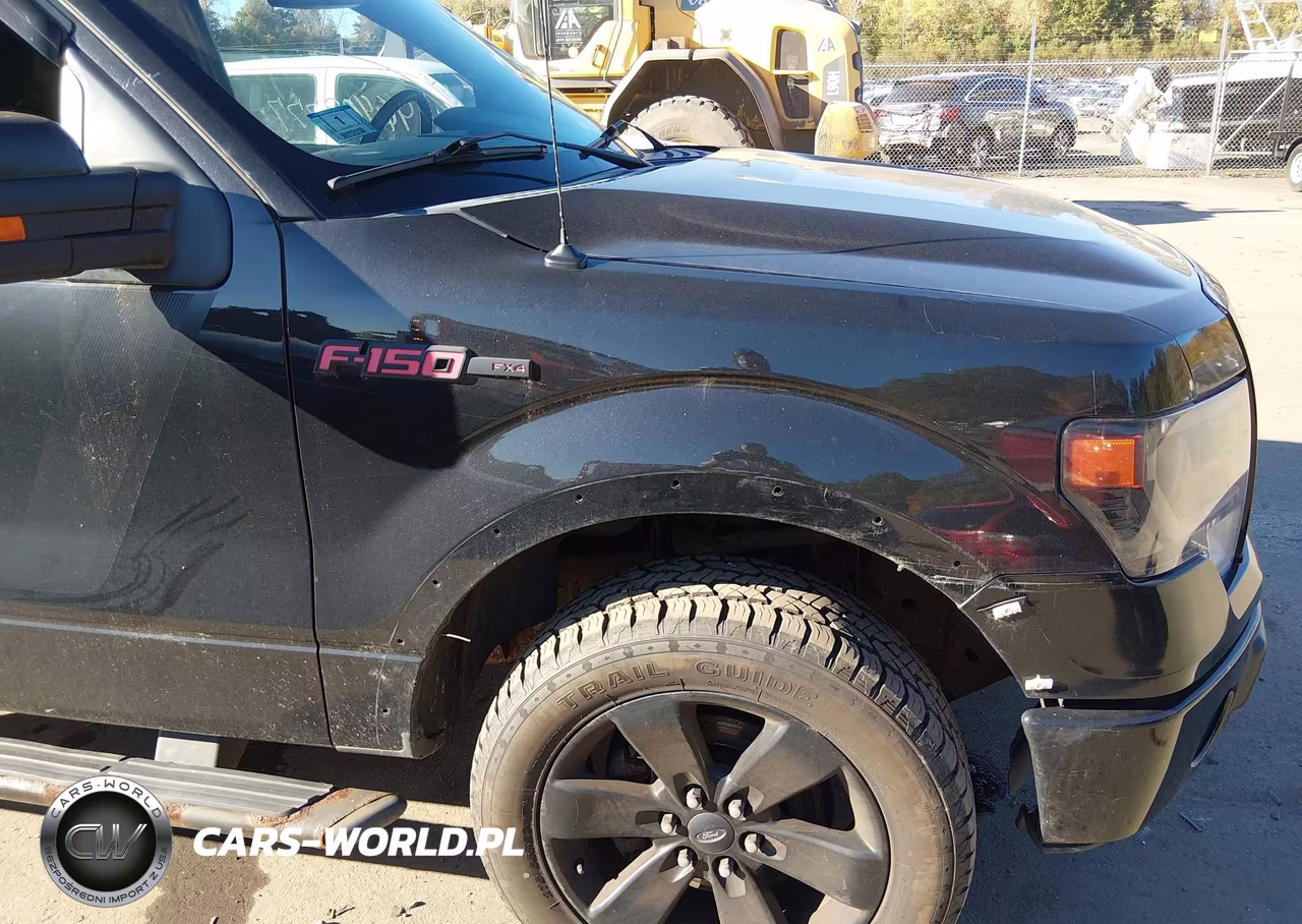 2014 Ford F-150 Fx4 VIN:1FTFX1ET2EFB79998 - 6