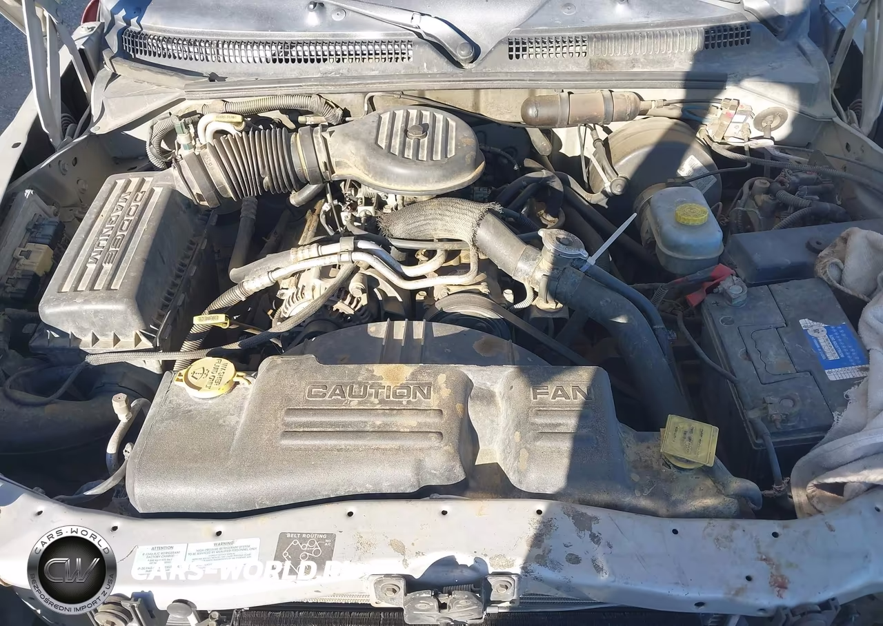 2001 Dodge Dakota Slt-Sport VIN:1B7HL2AX31S337169 - 10