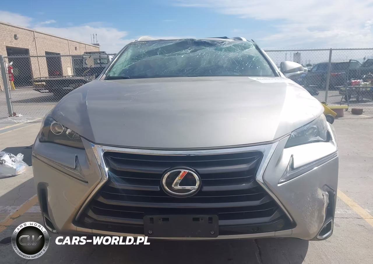 2016 Lexus Nx 200T VIN:JTJYARBZXG2030649 - 17