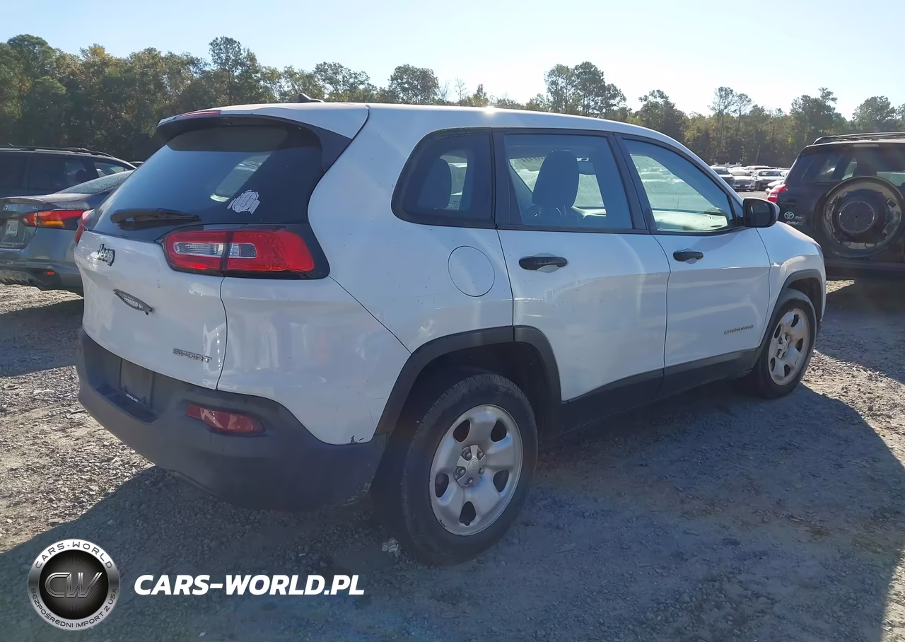 2014 Jeep Cherokee Sport VIN:1C4PJLAB4EW155264 - 4