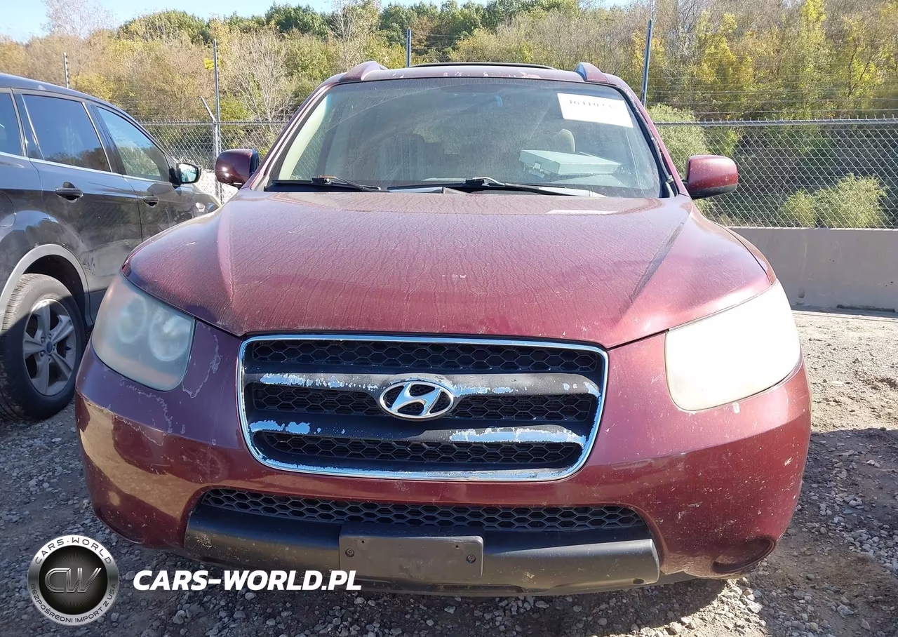 2007 Hyundai Santa Fe Gls VIN:5NMSG13D87H088668 - 6