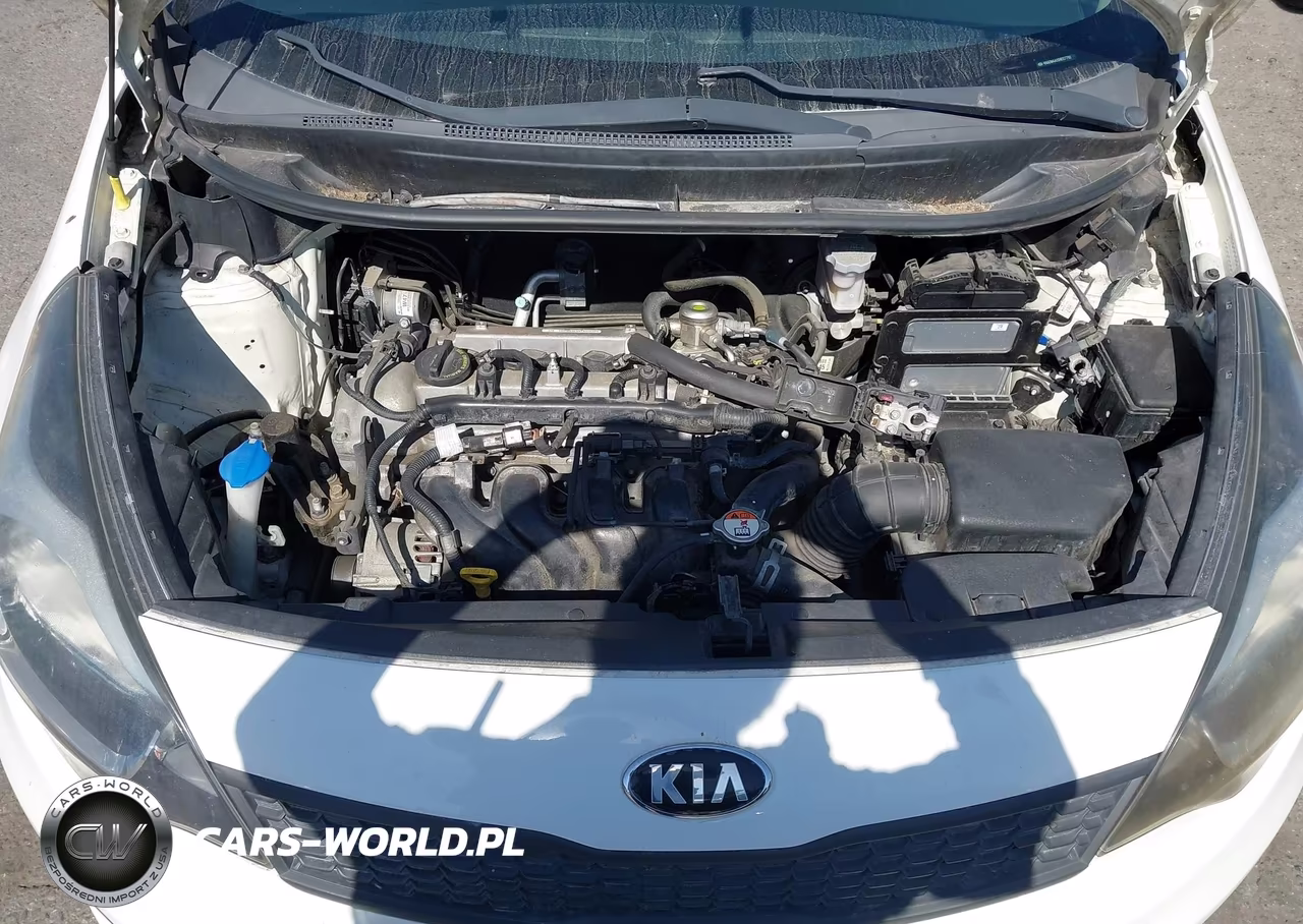 2017 Kia Rio Lx VIN:KNADM4A31H6117792 - 10