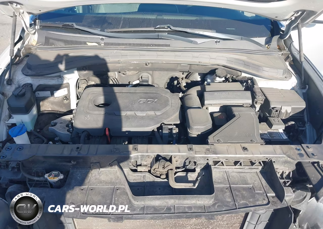 2019 Hyundai Santa Fe Se VIN:5NMS23AD6KH040284 - 10