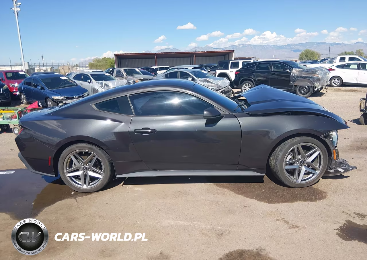 2024 Ford Mustang Ecoboost Fastback VIN:1FA6P8TH1R5101950 - 12