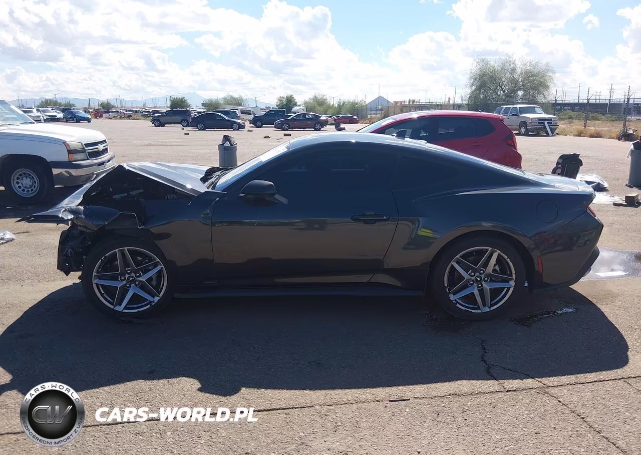 2024 Ford Mustang Ecoboost Fastback VIN:1FA6P8TH1R5101950 - 13
