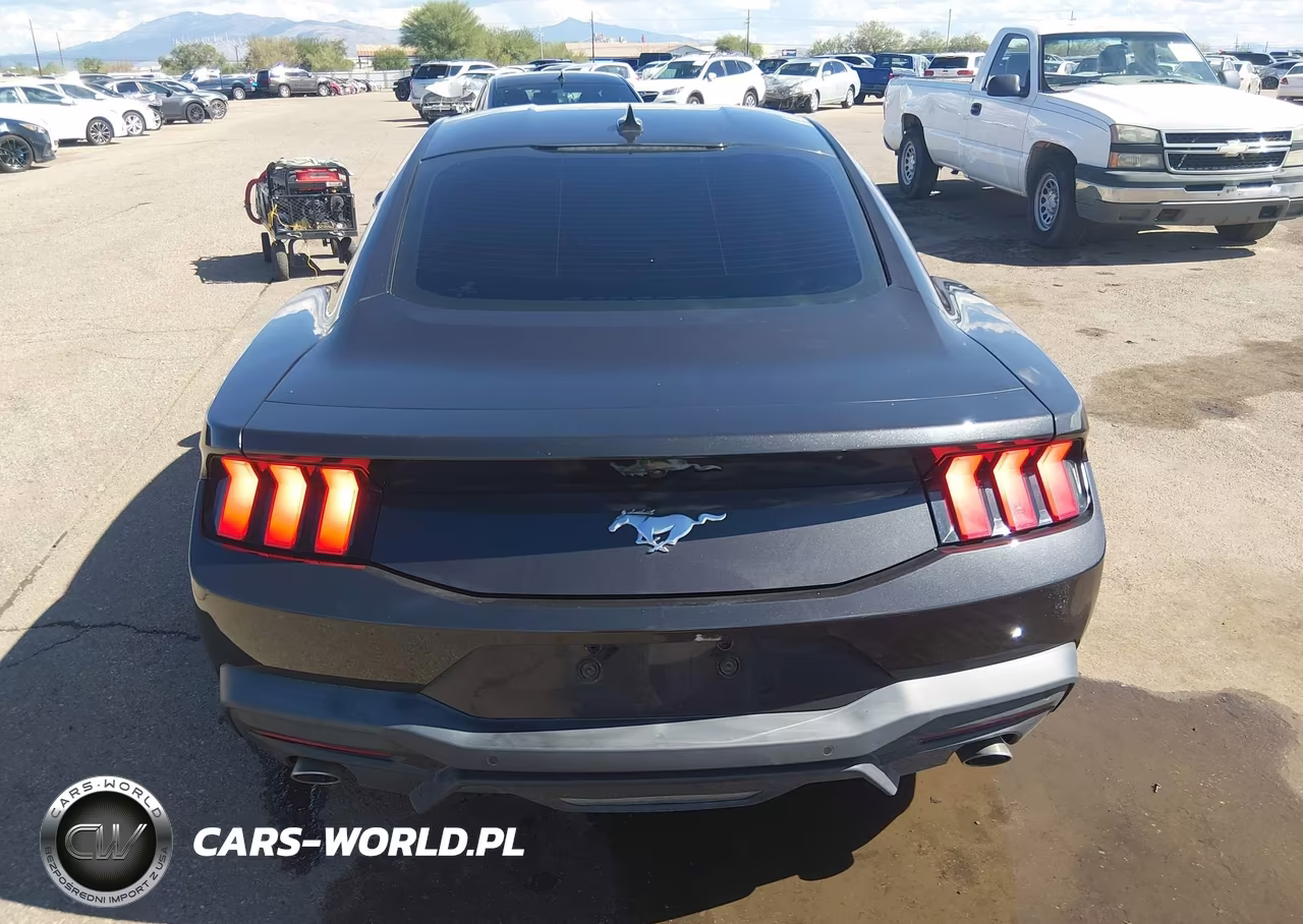 2024 Ford Mustang Ecoboost Fastback VIN:1FA6P8TH1R5101950 - 15