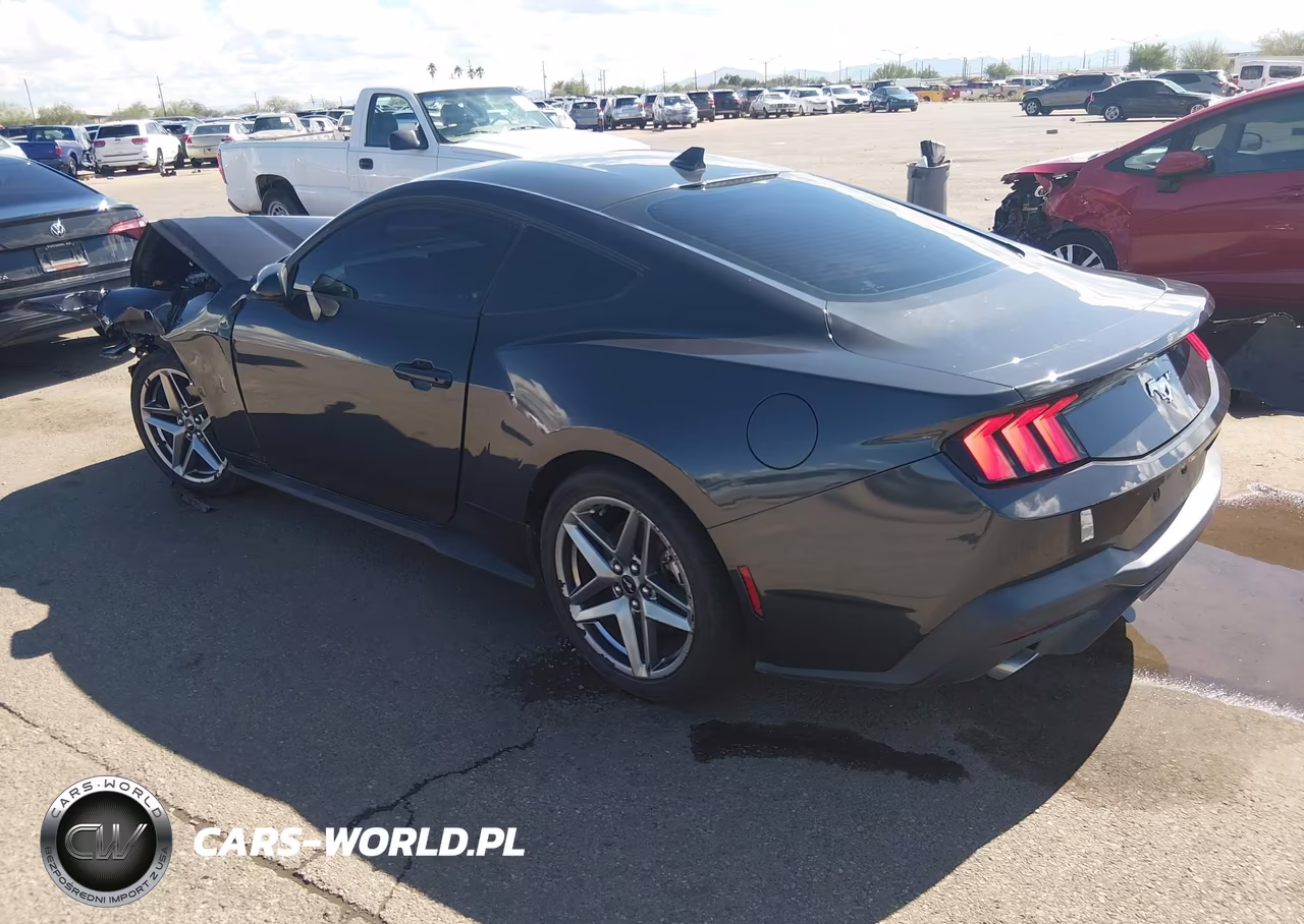 2024 Ford Mustang Ecoboost Fastback VIN:1FA6P8TH1R5101950 - 3