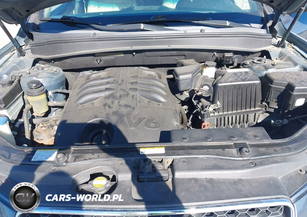 2009 Hyundai Santa Fe Limited VIN:5NMSH73E79H266517 - 10