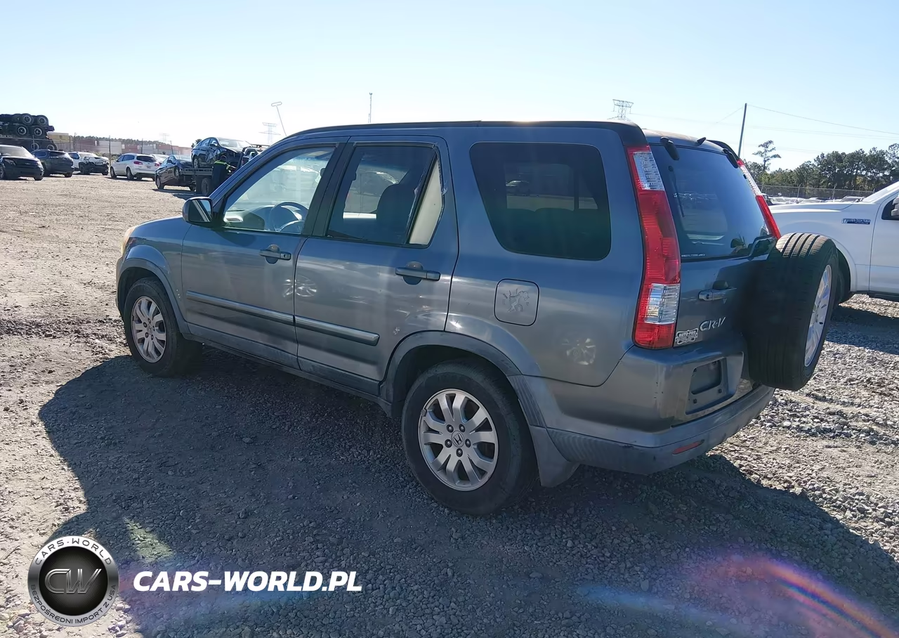 2005 Honda Cr-V Se VIN:JHLRD78935C003457 - 3