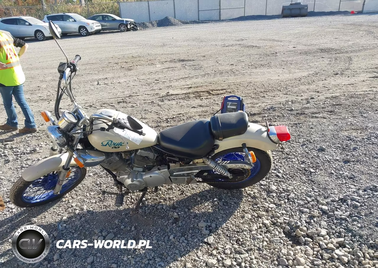 1990 Yamaha Xv250 VIN:JYA2UJE01LA030405 - 13