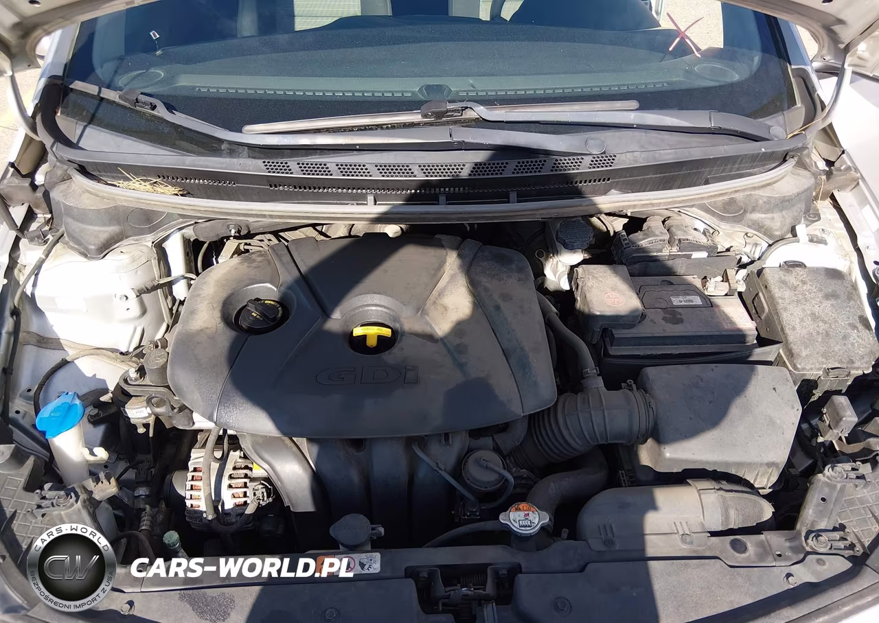 2016 Kia Forte Lx VIN:KNAFK5A86G5601400 - 10