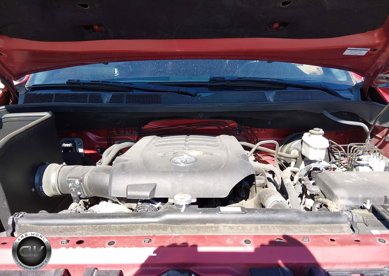 2019 Toyota Tundra Platinum 5.7L V8 VIN:5TFAY5F12KX794309 - 10
