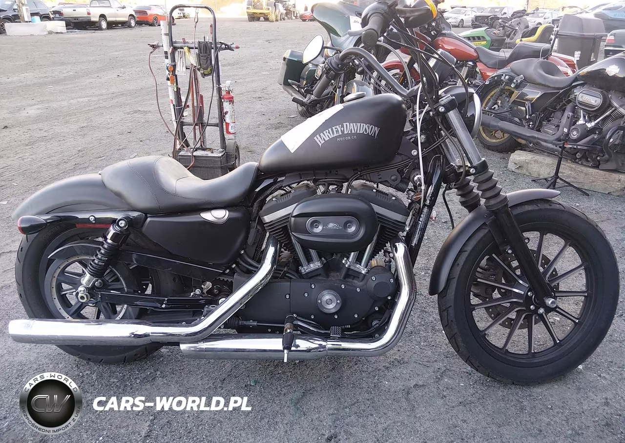 2014 Harley-Davidson Xl883 Iron 883 VIN:1HD4LE216EC412049 - 12