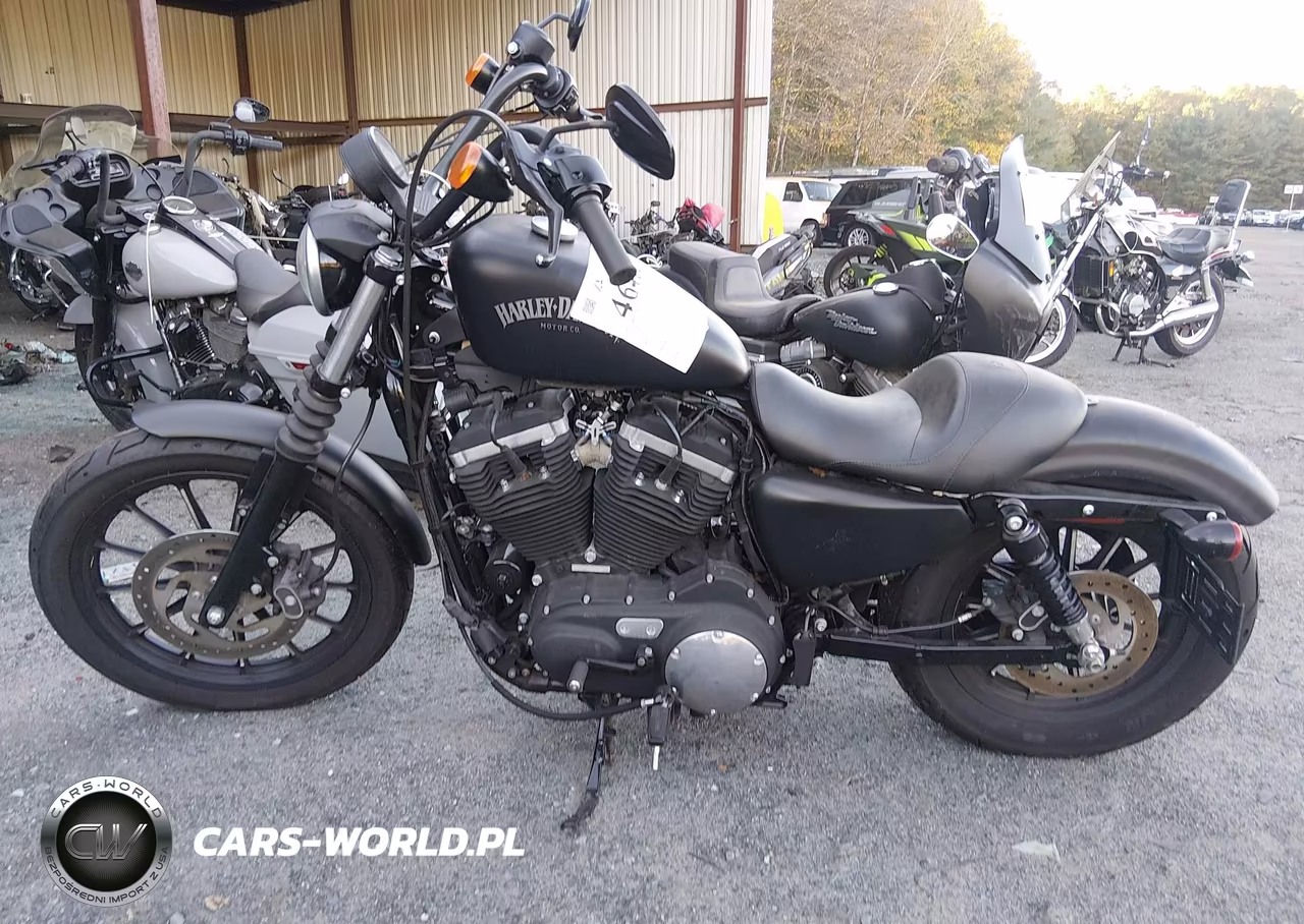 2014 Harley-Davidson Xl883 Iron 883 VIN:1HD4LE216EC412049 - 13