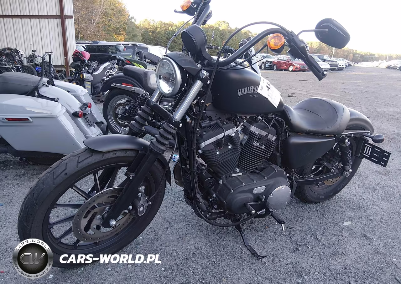 2014 Harley-Davidson Xl883 Iron 883 VIN:1HD4LE216EC412049 - 2