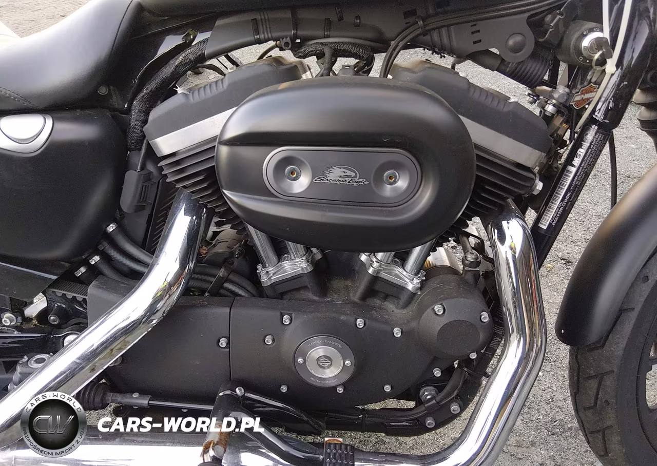 2014 Harley-Davidson Xl883 Iron 883 VIN:1HD4LE216EC412049 - 8