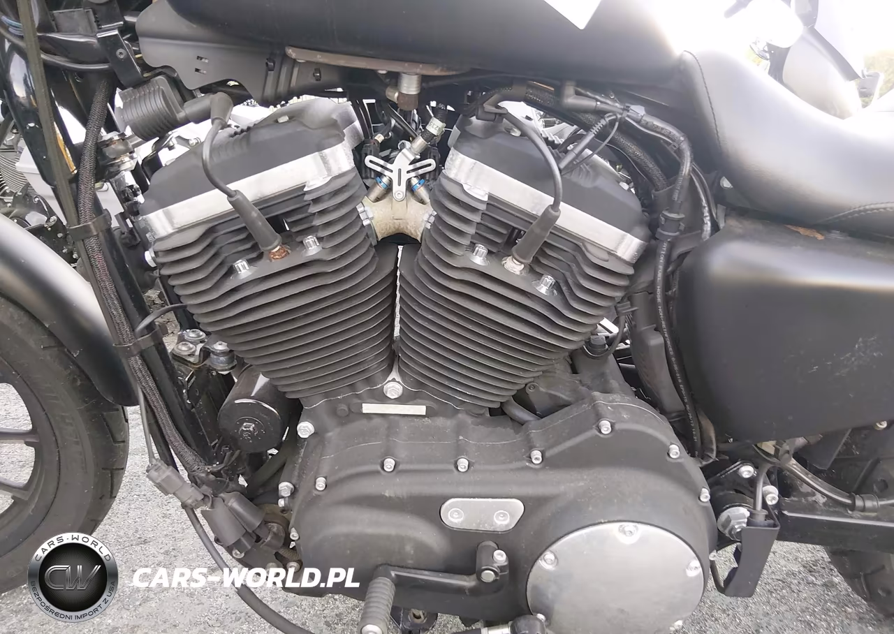 2014 Harley-Davidson Xl883 Iron 883 VIN:1HD4LE216EC412049 - 9