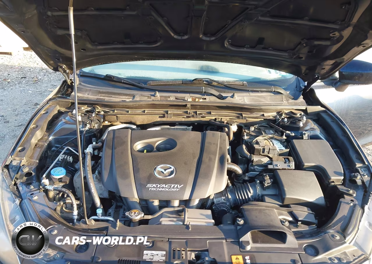 2014 Mazda Mazda3 I Sport VIN:JM1BM1K74E1202533 - 10