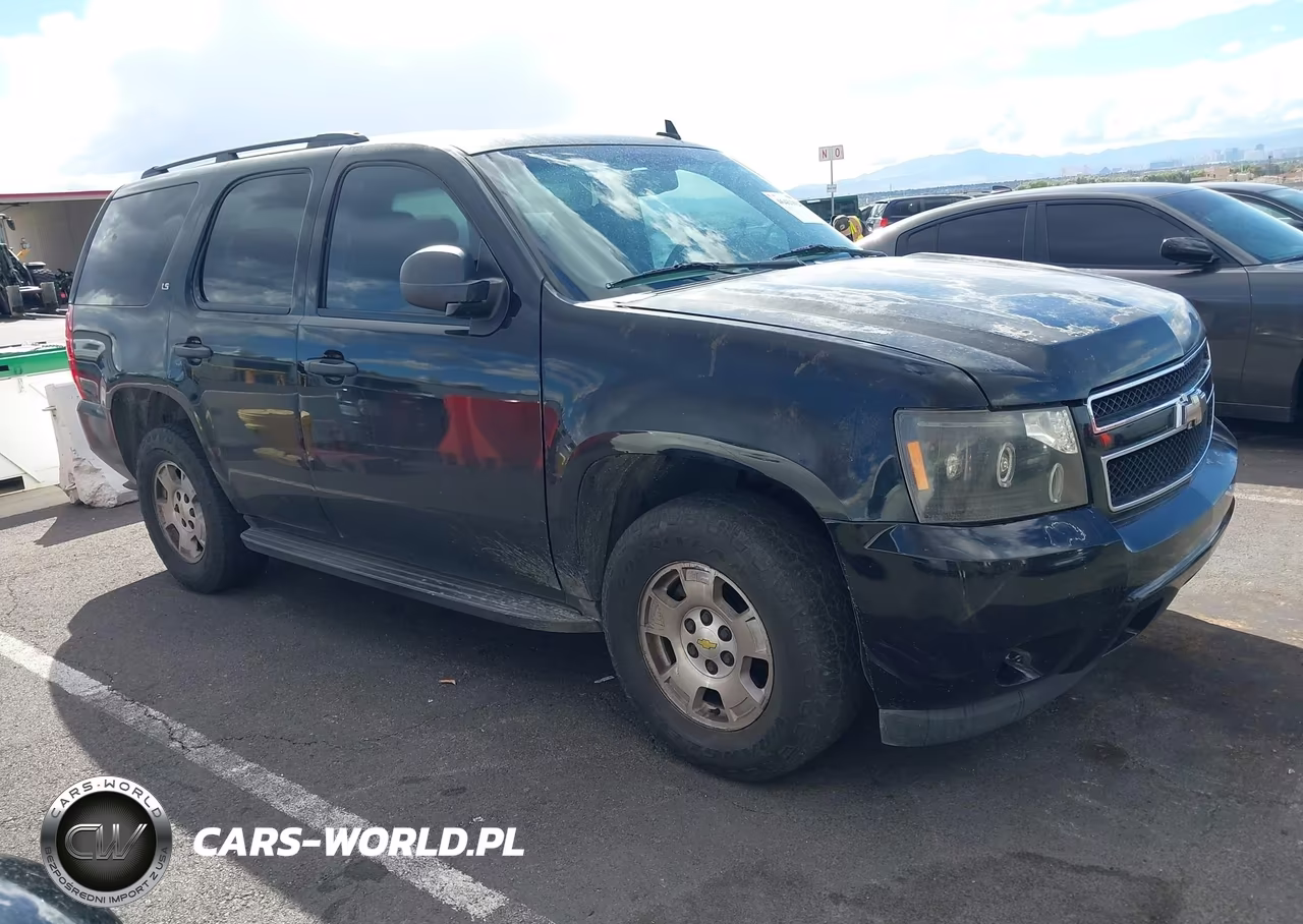 2009 Chevrolet Tahoe Ls VIN:1GNFC13019R106265 - 1