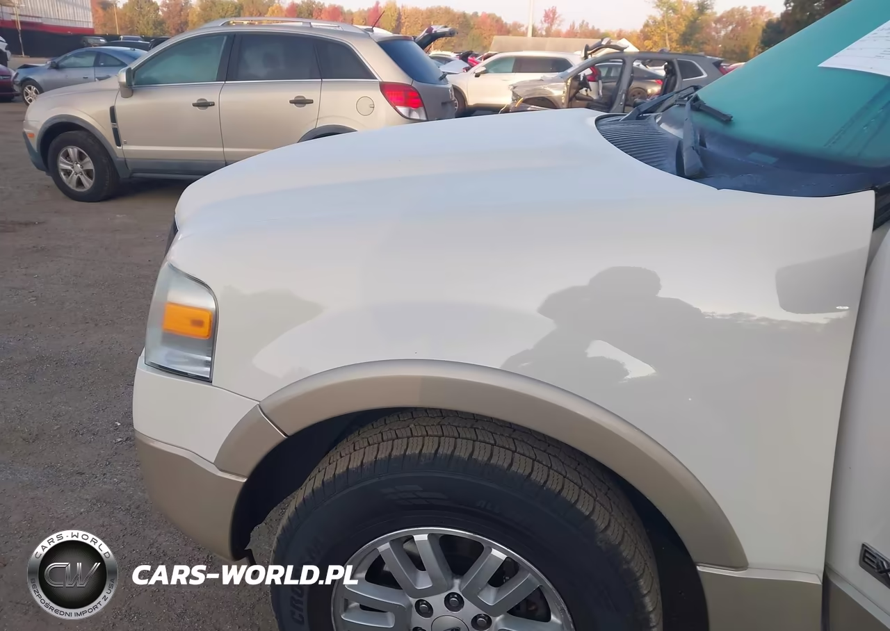 2008 Ford Expedition Eddie Bauer VIN:1FMFU18538LA06613 - 6